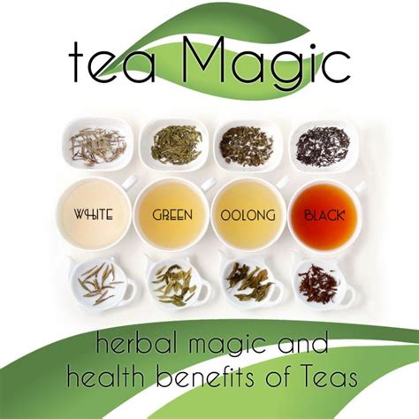 Infuse your life with magic through the art of tea and coffee brewing